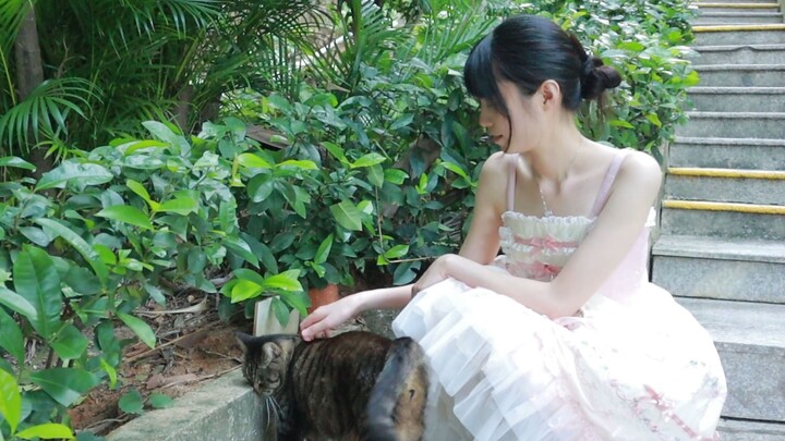 ลูกแมวบนถนนน่ารักมาก