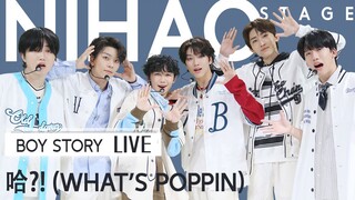 [4K]男团就要清爽校园风！歌和舞都很爱！【你好Stage丨BOY STORY《哈?!(What's Poppin)》LIVE】