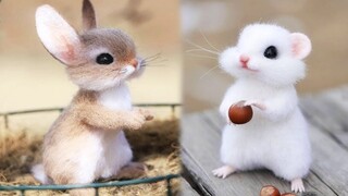 Cute baby animals Videos Compilation cute moment of the animals #10 Cutest Animals 2023