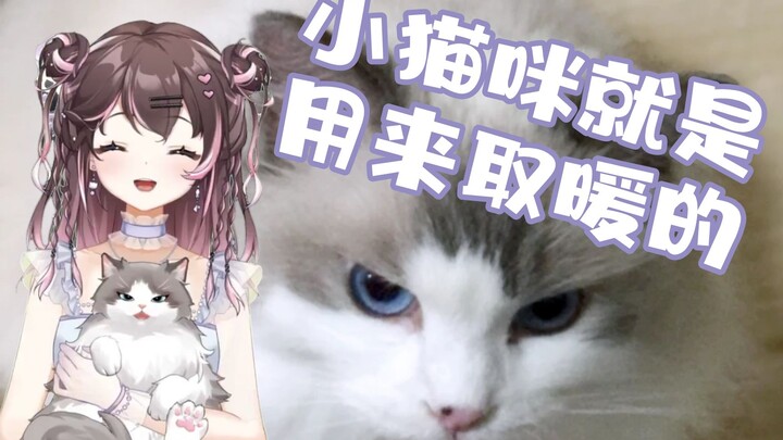 [Perilla September] Raising a cat for a thousand days, using it for just one moment