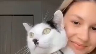 Hitler rengkarnasi jadi kucing!