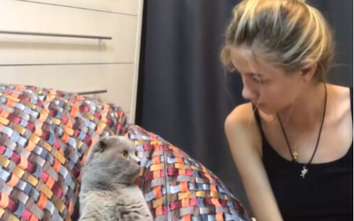 This sweet, innocent little kitten probably has no idea what’s about to happen—it’s just heartbreaki