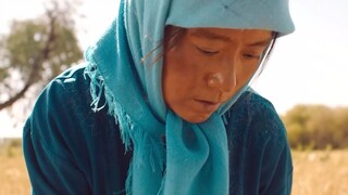 导演李睿珺开始认为《隐入尘烟》上映了就是一日游，但现在片子票房突破5000万了！