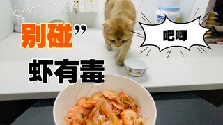 猛虎吃虾