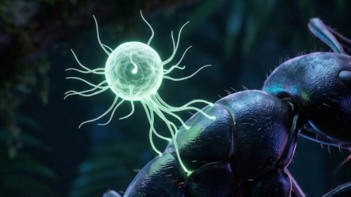Dangerous parasite 🤯