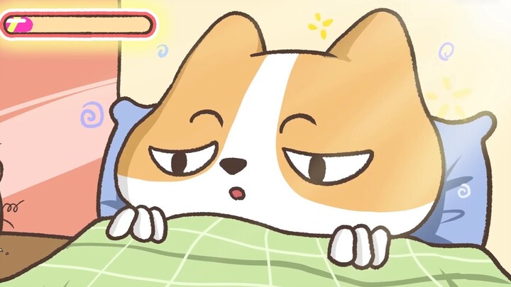 Morning workout or night run? When is the best time to do exercise? 【Xiaohuangji】