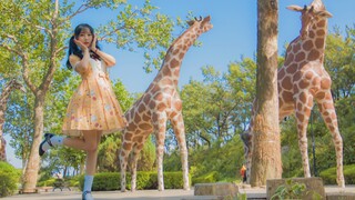 【莉莉子】Orange Caramel Catallena 就连同样身为女生的我都为她沉迷！