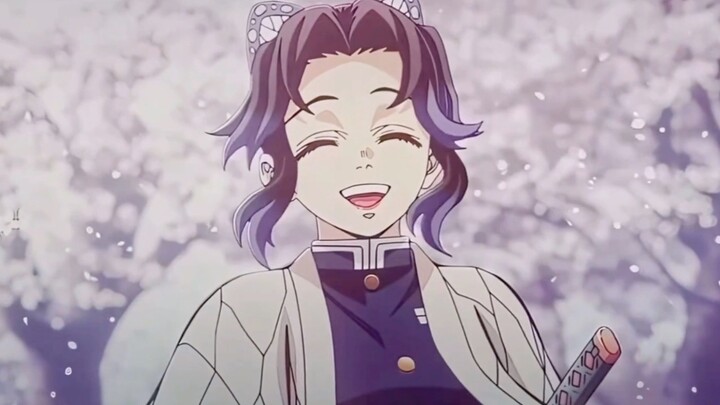 Ketika seekor kupu-kupu jatuh, semua hal menjadi hidup: Selamat malam, Ninja Kupu-kupu