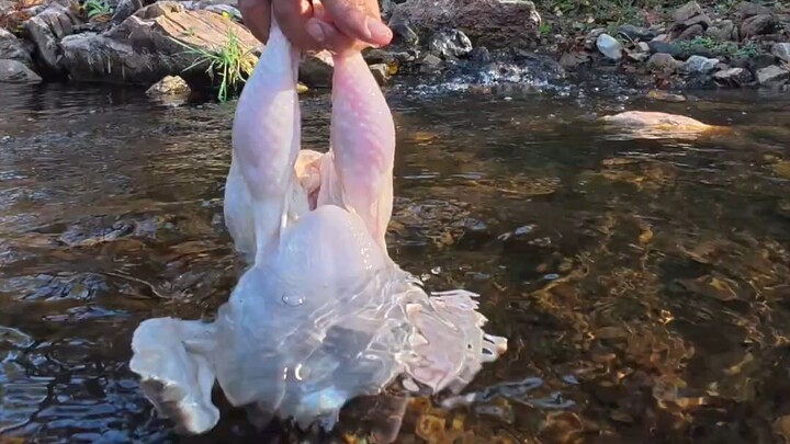 Ayam panggang ala pengemis