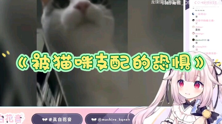 【真白花音】日本萝莉看《那一天人类回想起被猫咪支配的恐惧》