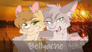 Bellyache 🌻 Sleekwhisker & Needletail