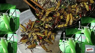 MANH MĂN NU | Món Ăn Từ Côn Trùng | Dân Tộc Tây Bắc