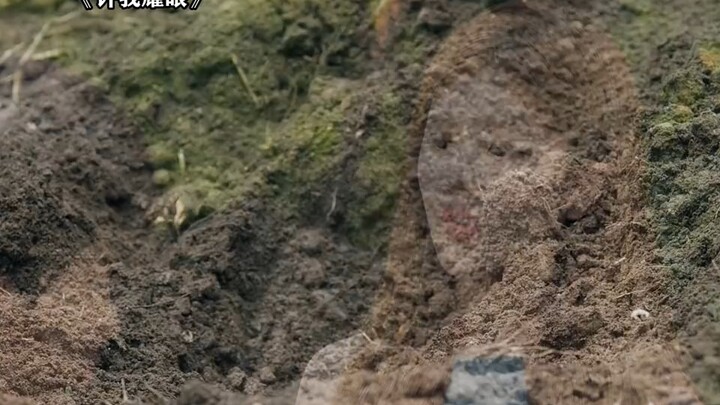 สวีเหยียนดีมากเลย