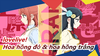 lovelive!|[Nijigasaki]Hoa hồng đỏ & hoa hồng trắng