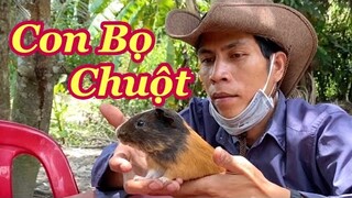 Đi tìm chuột khè nước dừa không ngờ gặp được con này