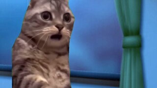 【Familiar/Cat Meme】Ibu Kucing Detektif Terkenal dan Tetangga Aneh (1)