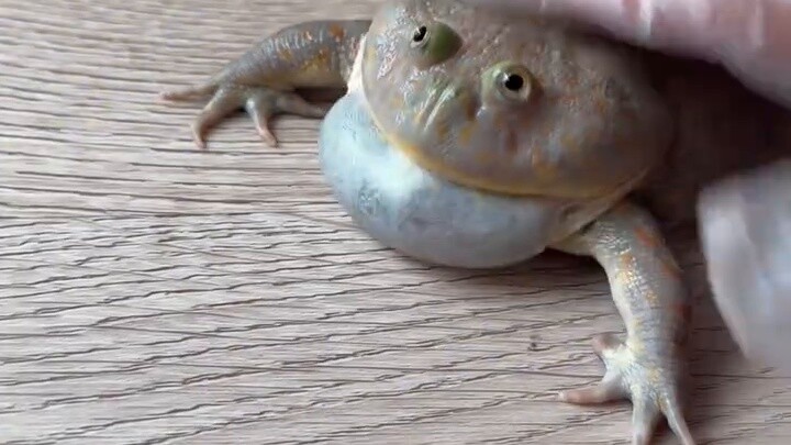 Minamijosuke is motionless