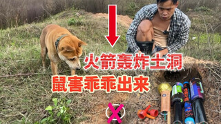 小伙用火箭炮轰炸鼠洞，鼠害乖乖的出洞投降，最后一只最肥胖