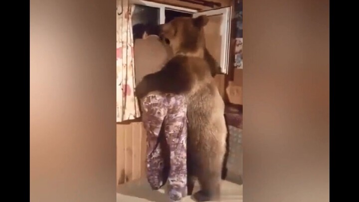 A bear entered their home, now they are… brothers?