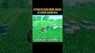 ORANG KAYA SOMBONG BAWA MOBIL MASUK KE KEBUN JAGUNG ORANG MISKIN #alurceritaflim #film