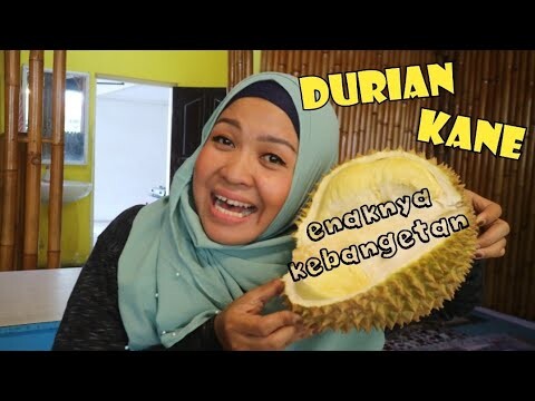 MUKBANG DURIAN KANE | KOKO DURIAN MATARAM | FOODEVERYWHERE