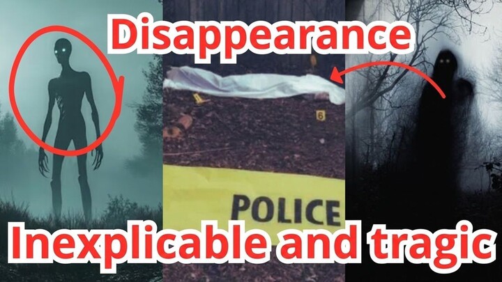 🔍 Terrifying Investigation: What Happened to Dennis Wurschmidt in the Forest?