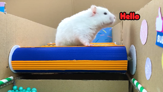 ภารกิจของหนูแฮมสเตอร์ EP 253