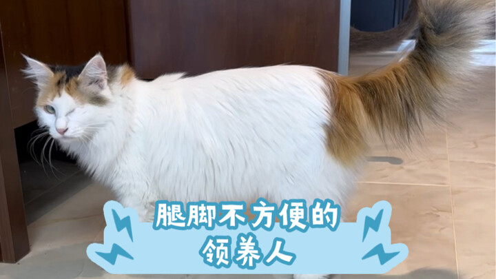 ผู้รับเลี้ยงที่เคลื่อนไหวขาและเท้าไม่สะดวก