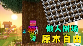 我的世界：懒人树场，一小时7000木，实现树木自由