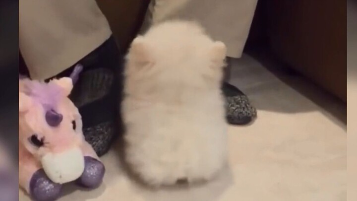 This is so cute!