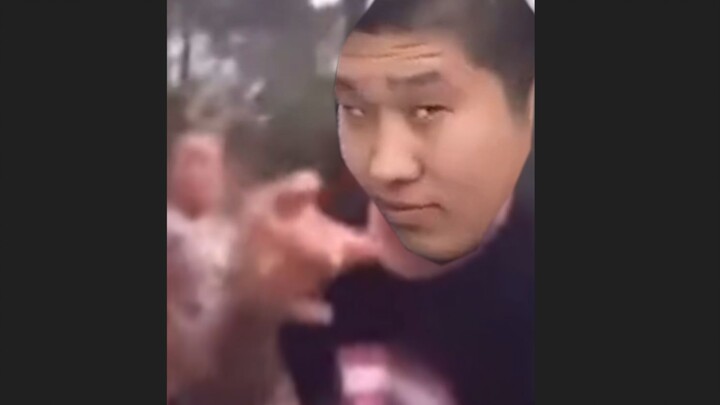 27 ثانية للنمر