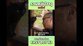 รวมคลิปฮา พากย์นรก #short #easyboy #คลิปฮา #เบสไวน์