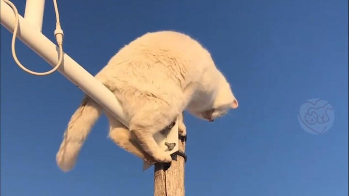 Well...it feels okay!