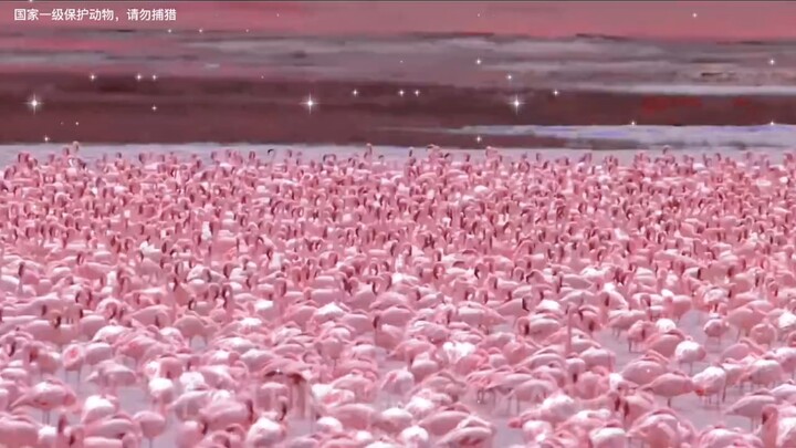 "The person you tag will surely get lucky."