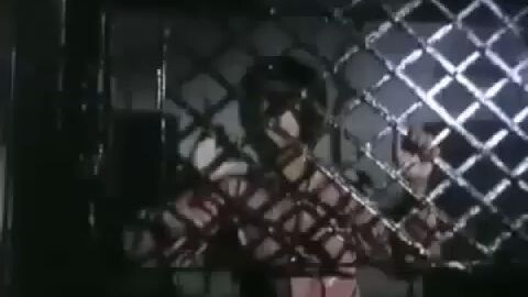 Maestro FPJ