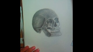 Skull Drawing | Graphite Drawing