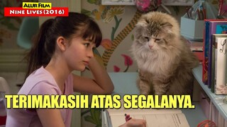 Terimakasih Kucing Kesayanganku... | Alur Cerita Film NINE LIVES (2016)