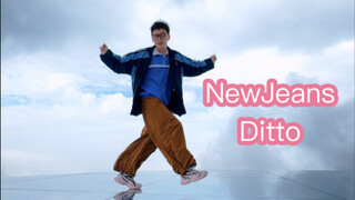 在云层中的Ditto