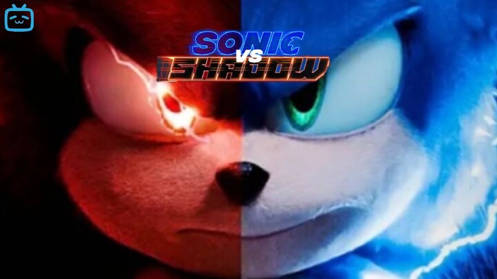 SONIC VS SHADOW