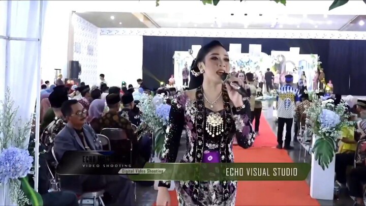 Pesona Budaya Nusantara: Penampilan Sinden Cantik di Acara Resepsi Pernikahan Tradisional