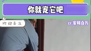 Just spoil it, poop scooper, please don’t spoil it too much!