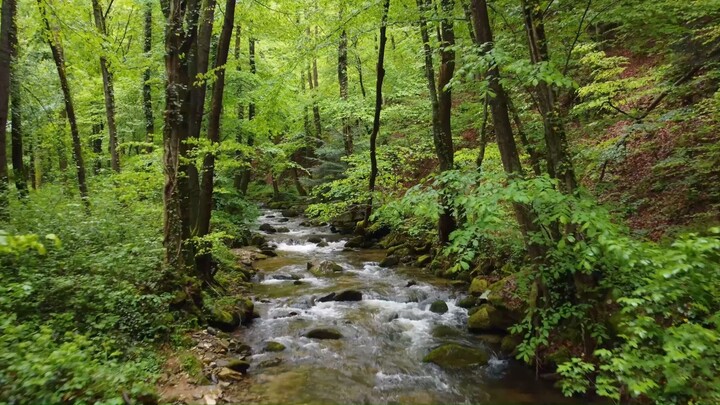 Peaceful River Sounds for Deep Sleep & Relaxation - Snooze Therapy