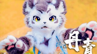 国风兽人！！！咬人猫单曲 ❀丹青❀【银碳】【兽装舞蹈】