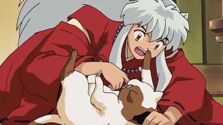 InuYasha: What kind of bad intentions can a dog have in modern times? He just misses Kagome.