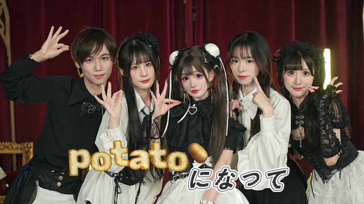 【Tam × An × Phàm × Phù × Lôi】Biến thành khoai tây 🥔, ngày càng giống khoai tây!