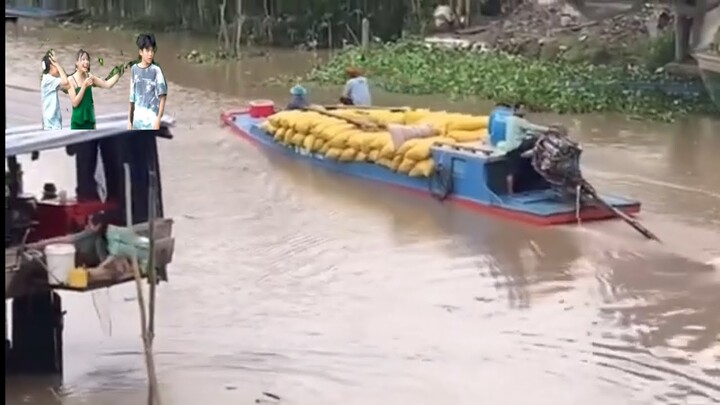 Cảnh Nông Dân miền Tây Chuyển Lúa Về Kho Trong Dịp Tết Đến Quá Vui l Nhạc Bolero cực hay