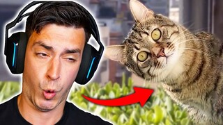 TRY NOT TO LAUGH 6!