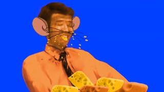 Rat BB eating cheese