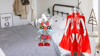 小泰迦不听话受伤了