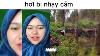 hơi bị nhạy cảm á :) #haihuoc